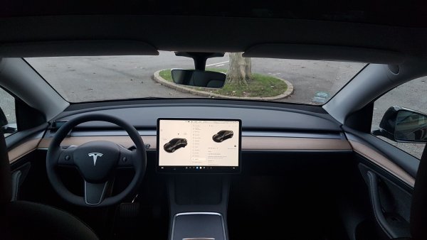 TESLA Y 3.jpg
