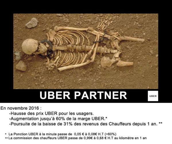 UBER-squelette.jpg