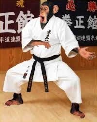 images1.jpg