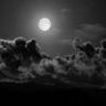 thegoodnight