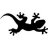 Salamander