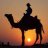 Aboujad