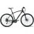 boby67